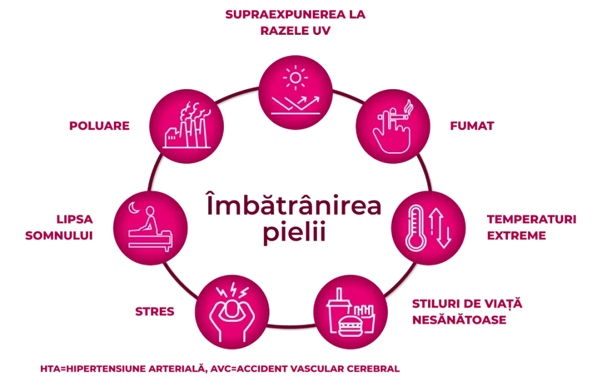 Diagrama prezintă factorii de risc pentru îmbătrânirea pielii: razele UV, fumatul, temperaturile extreme, stilul de viață nesănătos, stresul, lipsa somnului și poluarea.
